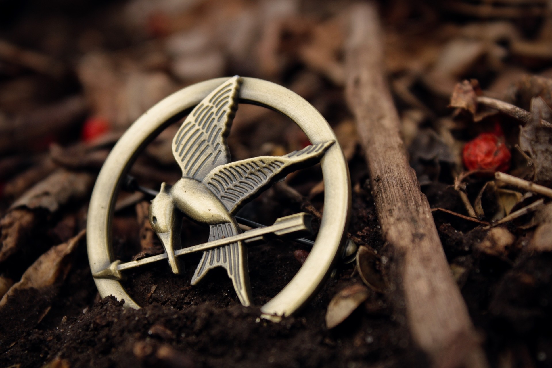 pin, The Hunger Games, Ground, Closeup Wallpaper