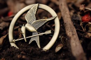 badge, The Hunger Games