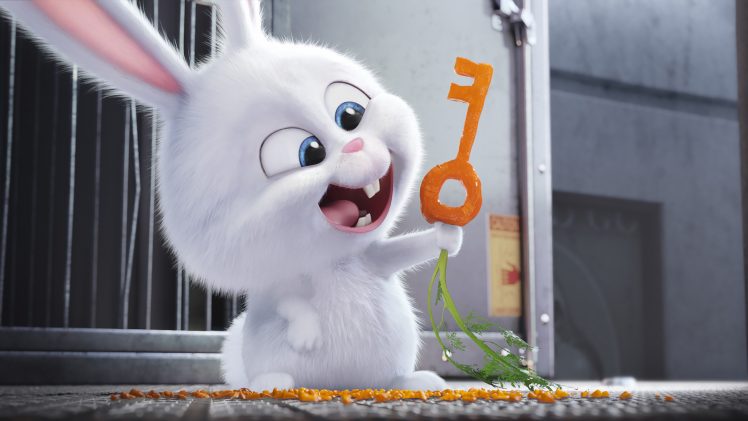 movies, Rabbits, The Secret Life of Pets HD Wallpaper Desktop Background