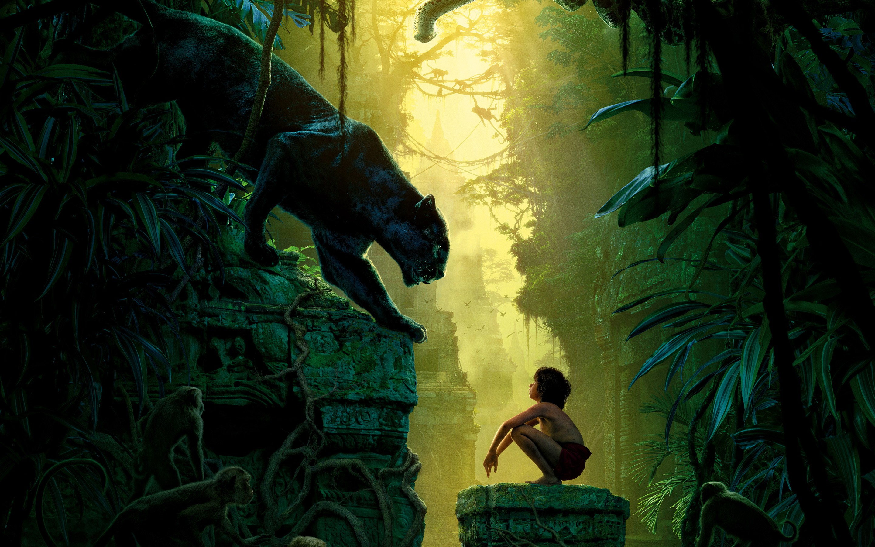 movies, The Jungle Book, Panthers Wallpaper