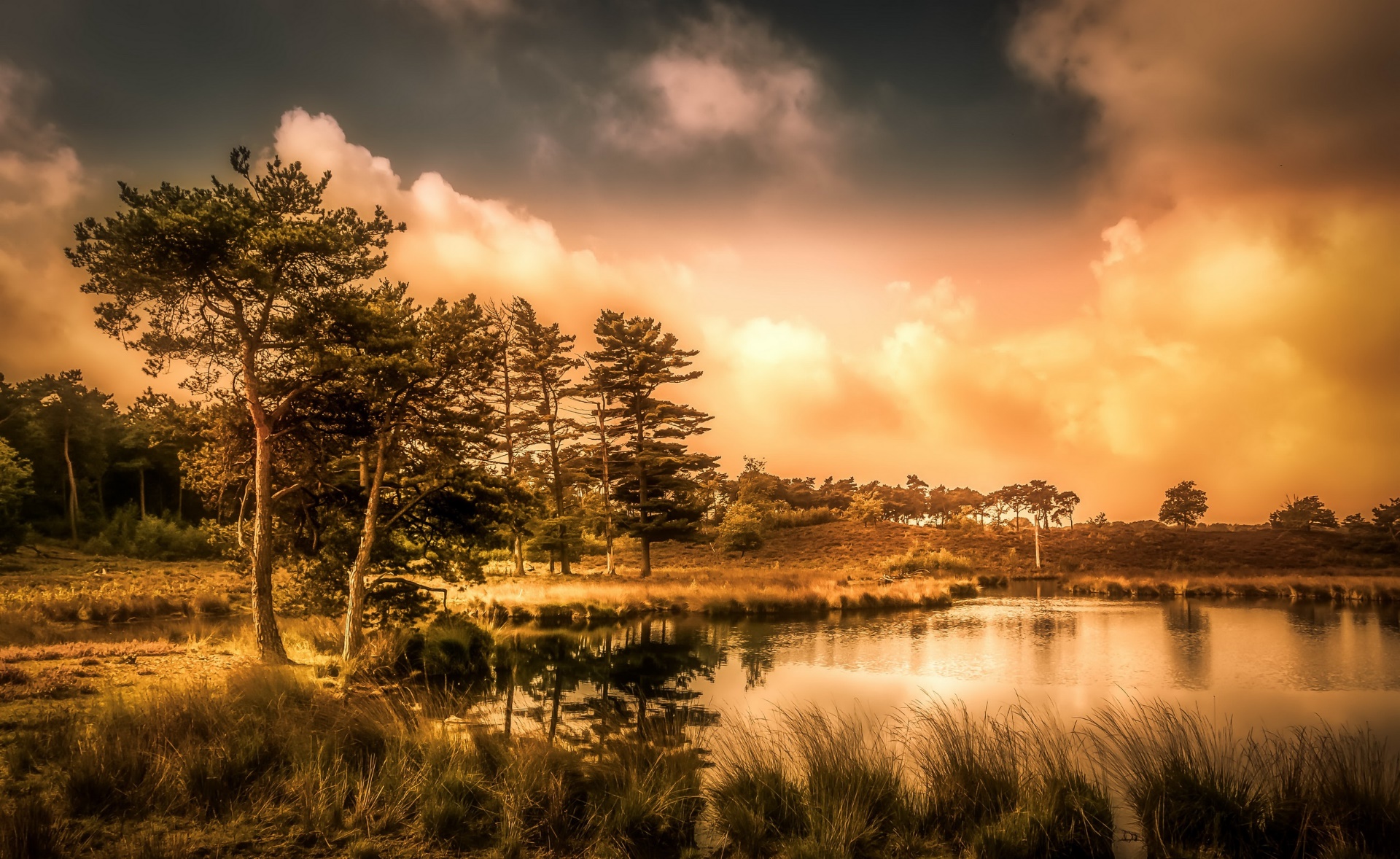 nature, Landscape, Sky, Trees Wallpaper