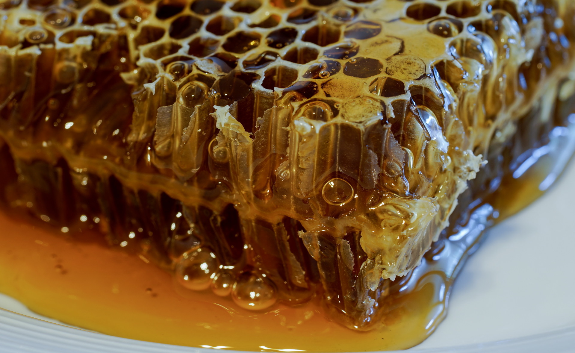 honey, Sweets Wallpaper