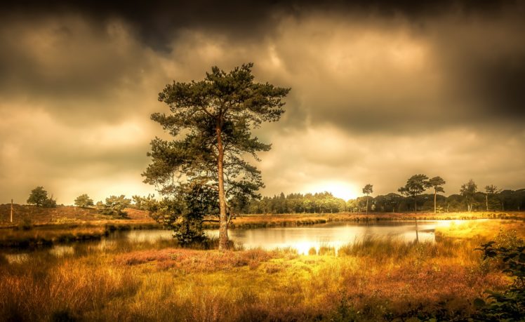 nature, Landscape, Sky, Trees HD Wallpaper Desktop Background