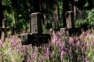 flowers, Graveyards
