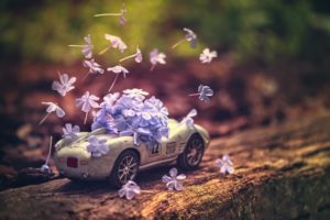 car, Vehicle, Toys, Flowers