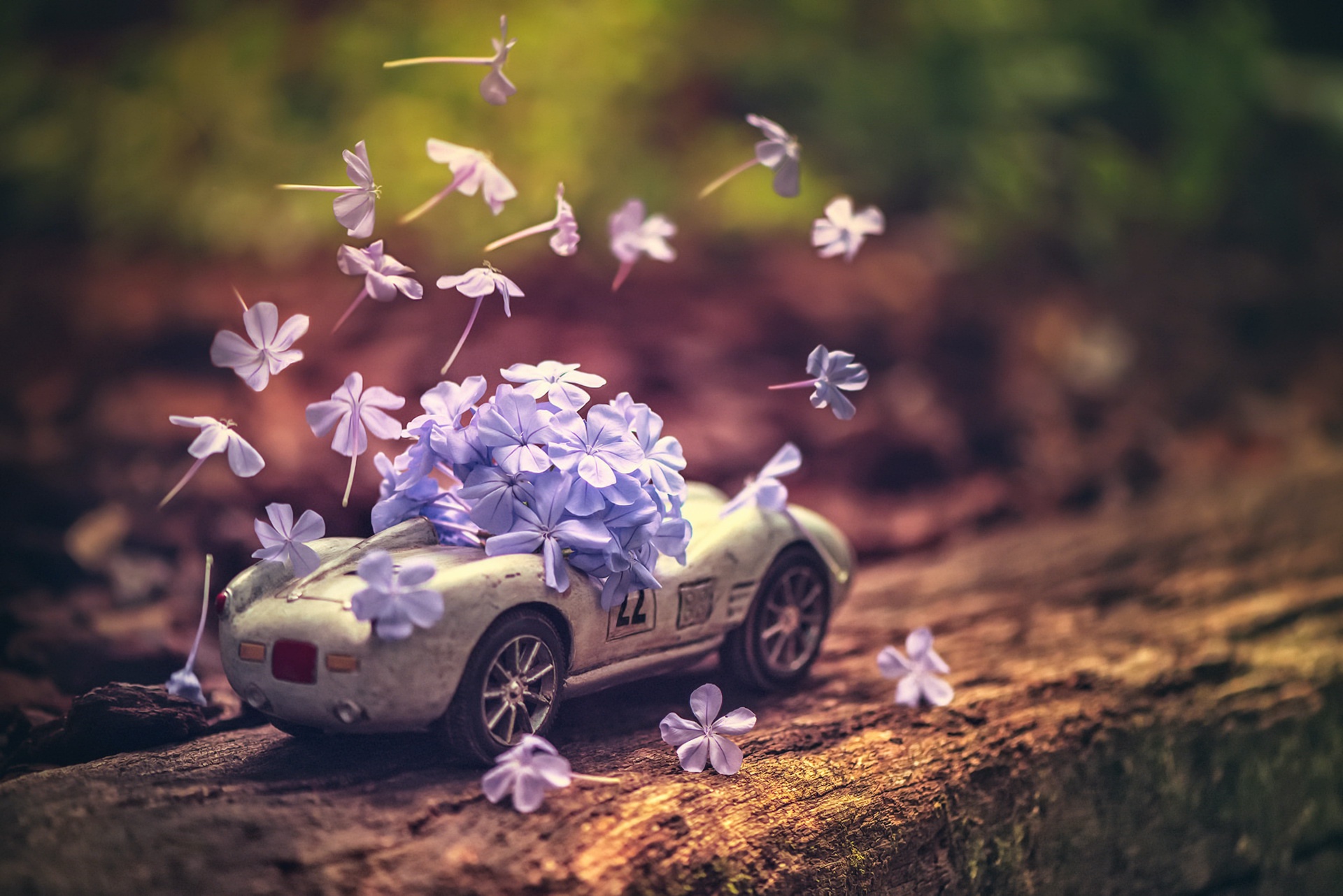 car, Vehicle, Toys, Flowers Wallpaper