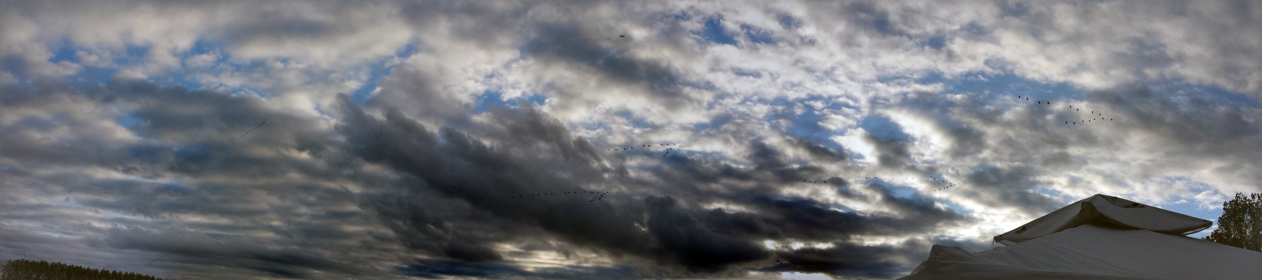 fall, Clouds, Birds, Geese, Panoramas Wallpaper