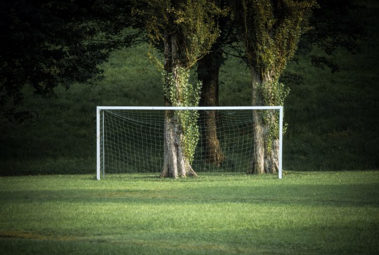 grass, Green, Trees, Sport, Soccer Field HD Wallpaper Desktop Background