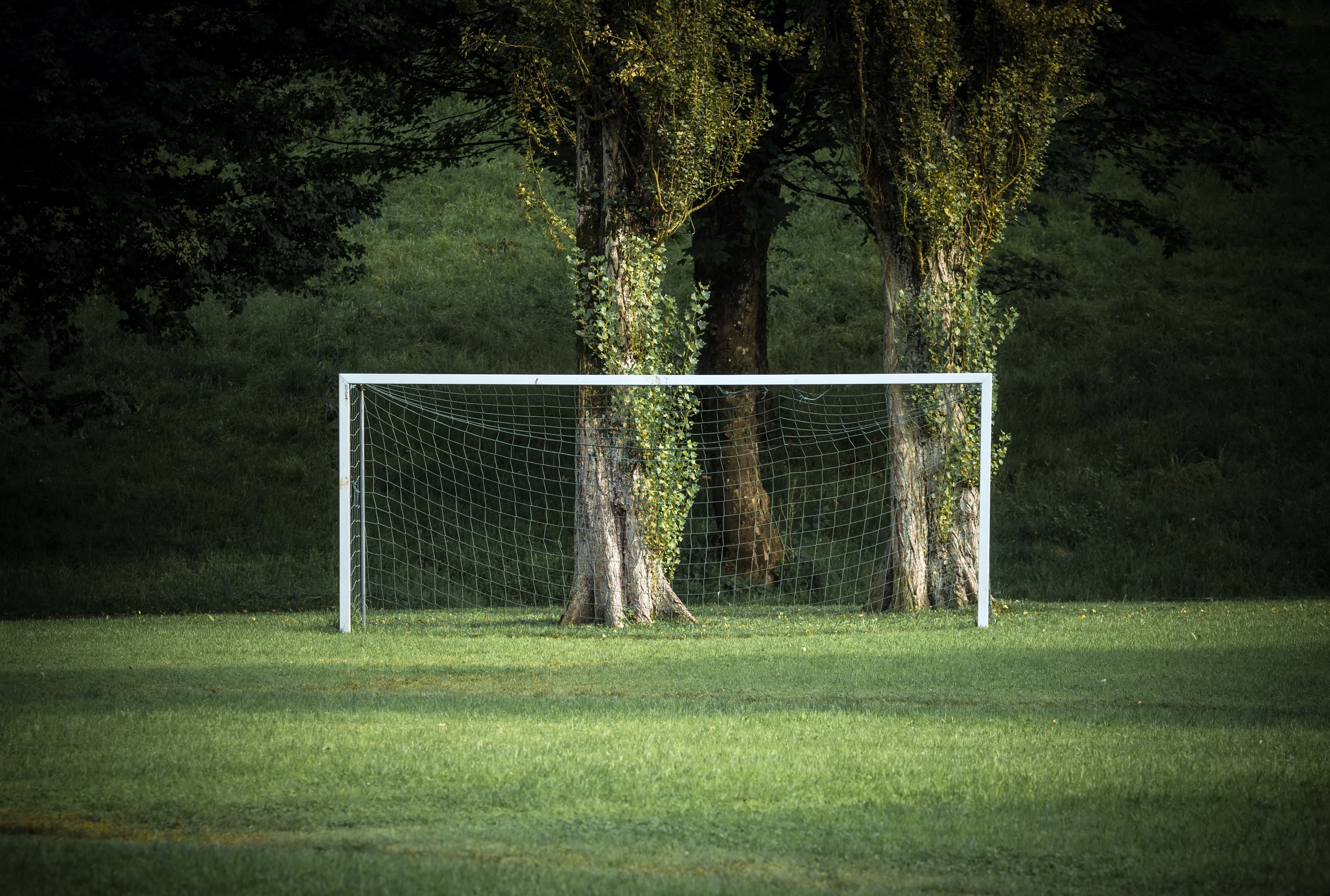 grass, Green, Trees, Sport, Soccer Field Wallpaper