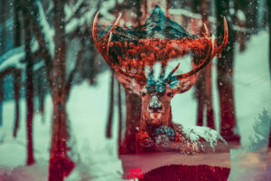deer, Digital art, Forest, Animals, Mountains, Matterhorn