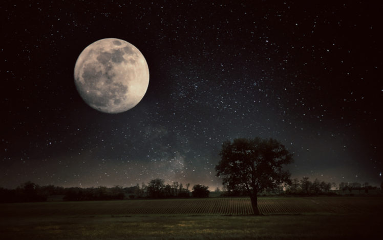 Moon, Trees, Field, Nature HD Wallpaper Desktop Background