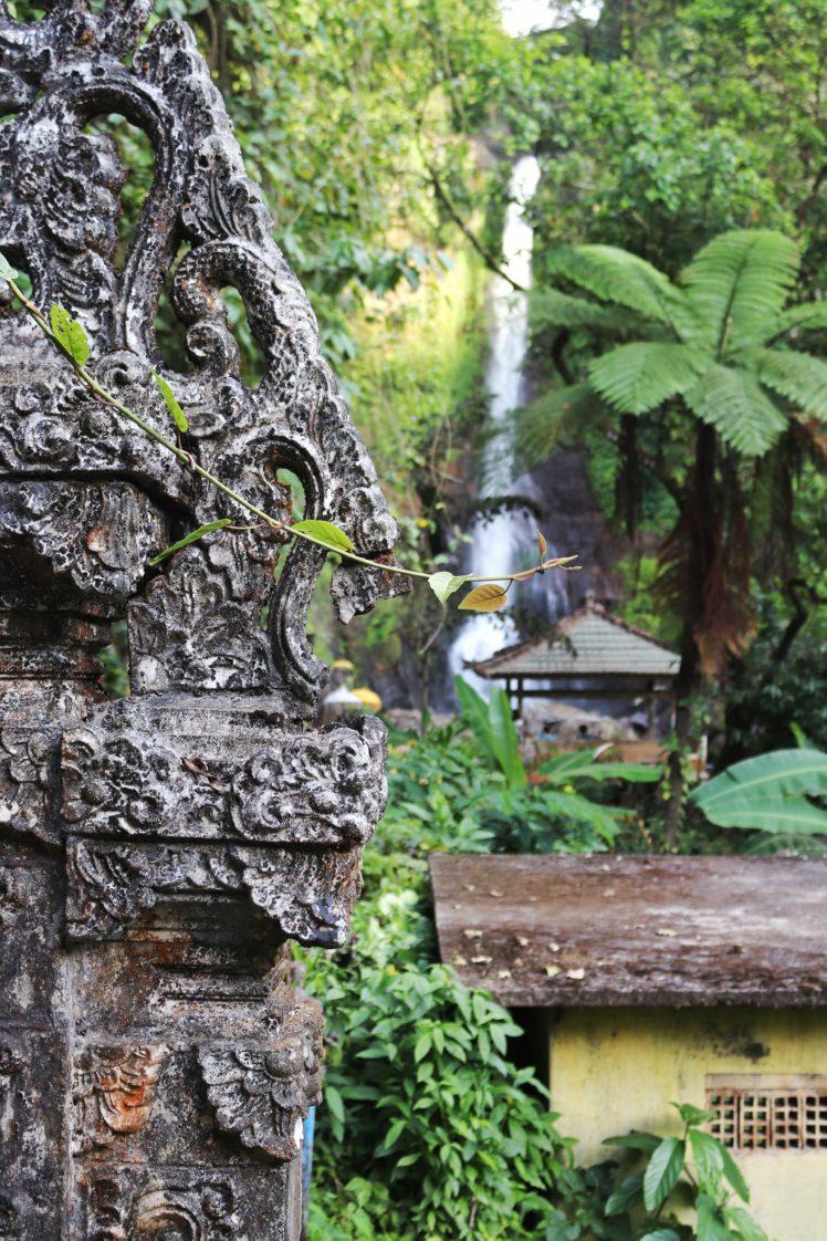 nature, Landscape, Waterfall, Wall, Bali, Indonesia, Green, Stone HD Wallpaper Desktop Background
