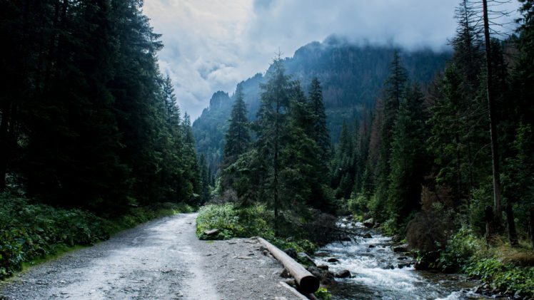 mountains, Tatra Mountains, Landscape, Forest, River, Road HD Wallpaper Desktop Background