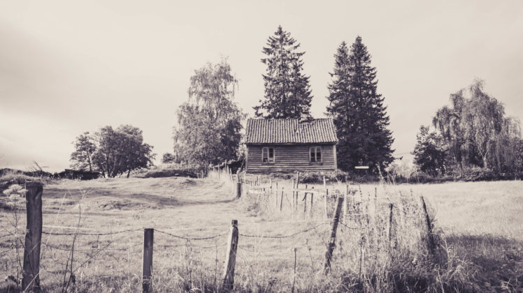 cabin, Fence, Forest, Landscape, Norway, Abandoned HD Wallpaper Desktop Background