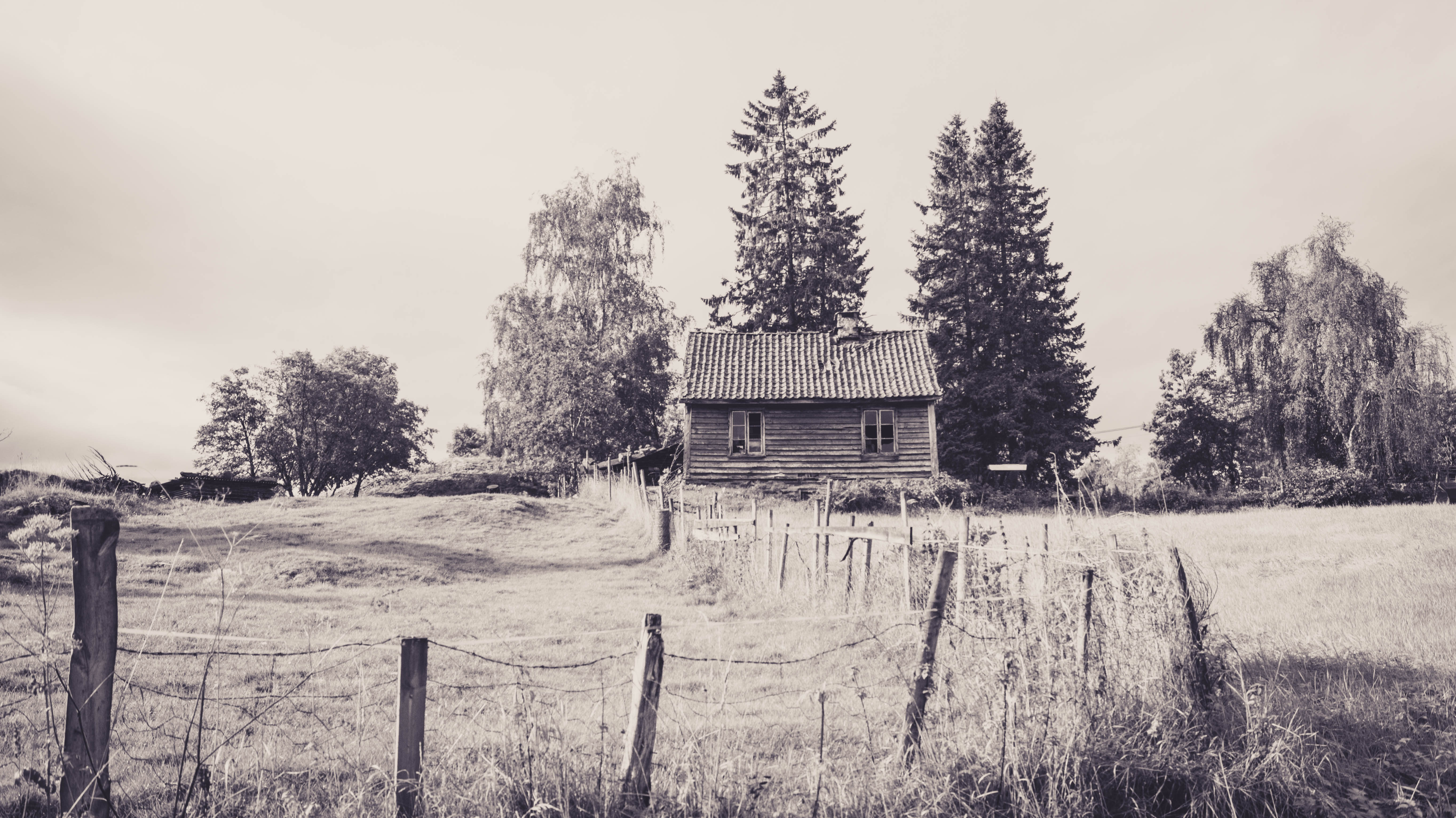 cabin, Fence, Forest, Landscape, Norway, Abandoned Wallpaper