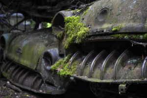car, Moss, Vehicle, Rust, Wreck