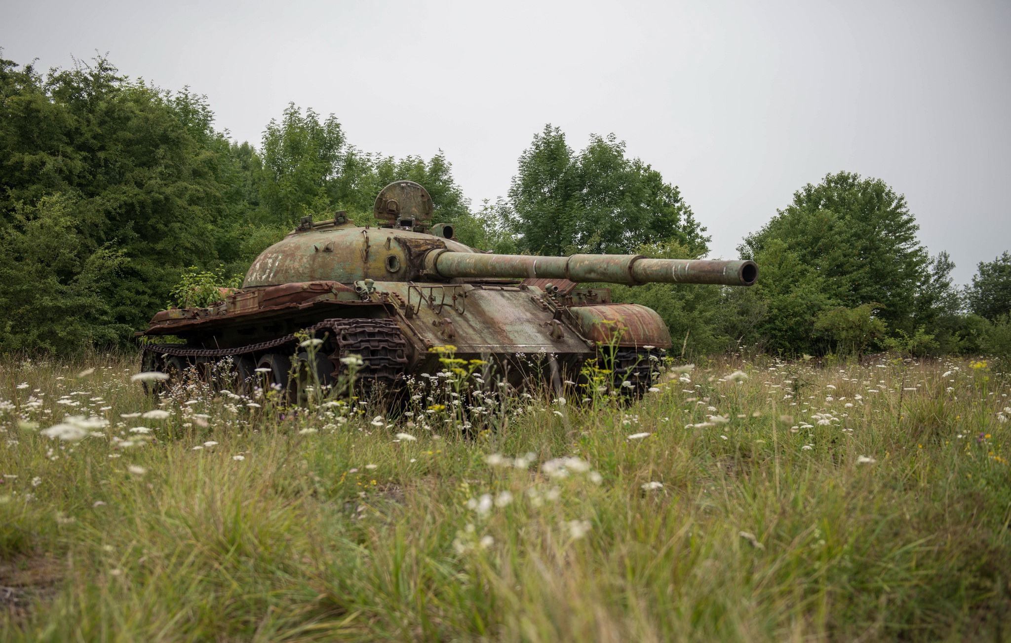 tank, Grass, Wreck, Military, Old, Vehicle Wallpaper