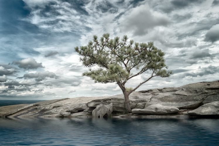blue, Trees, Water, Nature, Sky, Clouds HD Wallpaper Desktop Background