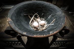 eggs, Metal, Food