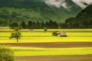 nature, Landscape, Mountains, Photography, Clouds, House, Field, Trees, Forest, Mist, Switzerland, Villages
