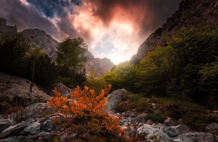 nature, Sky, Plants, Sunlight, Mountains HD Wallpaper Desktop Background