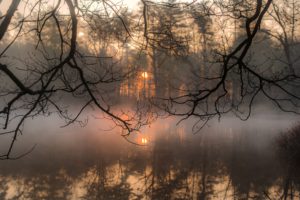 nature, Water, Mist, Trees, Sunlight, Reflection
