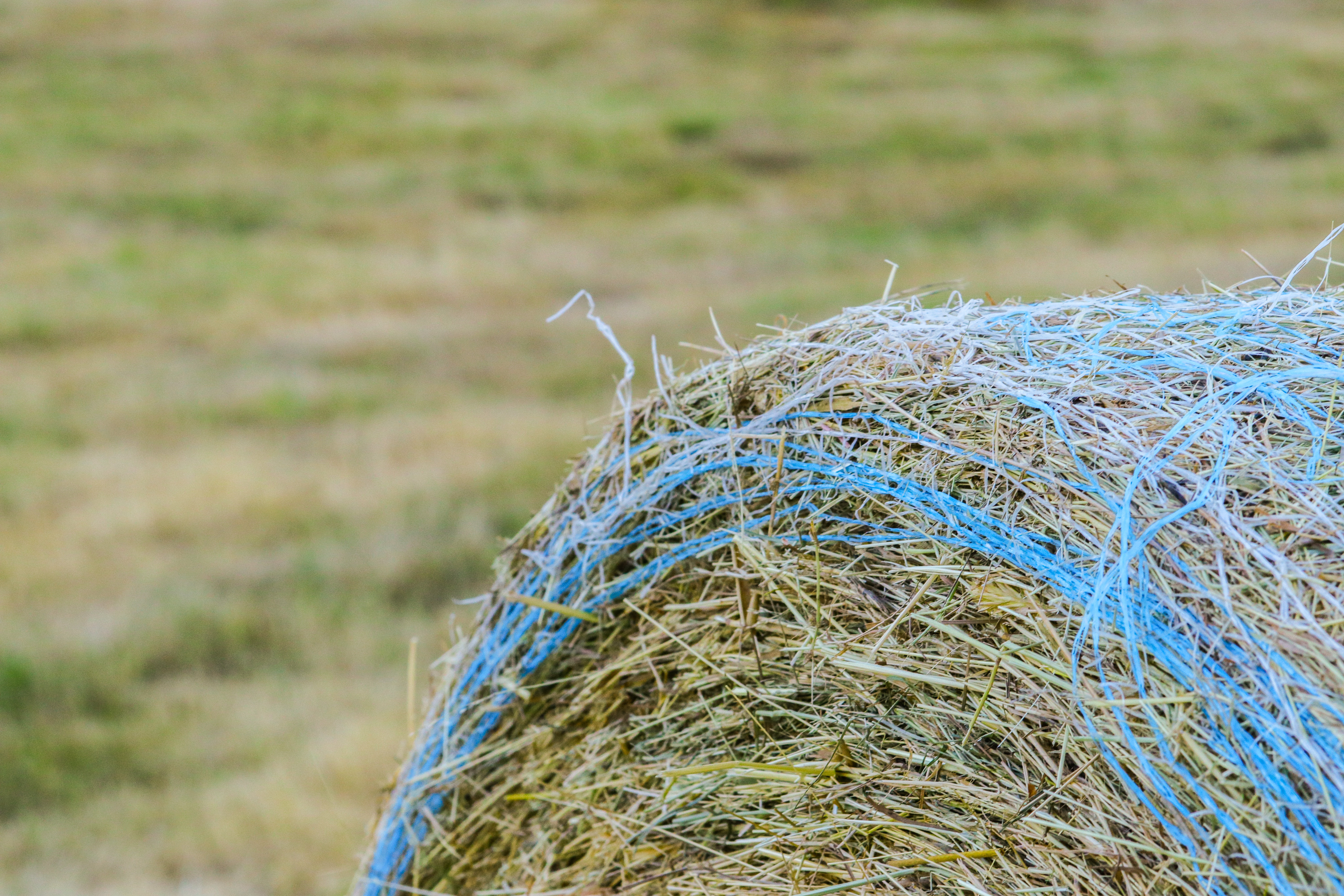 hay, Farm, Blue Wallpaper