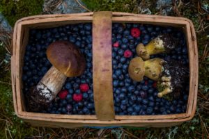 baskets, Berries, Food, Mushroom