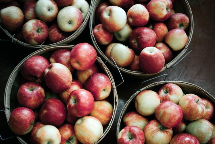 fruit, Food, Apples HD Wallpaper Desktop Background
