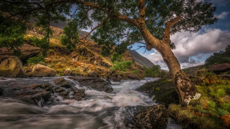 river, Nature, Landscape, Trees, Hills HD Wallpaper Desktop Background