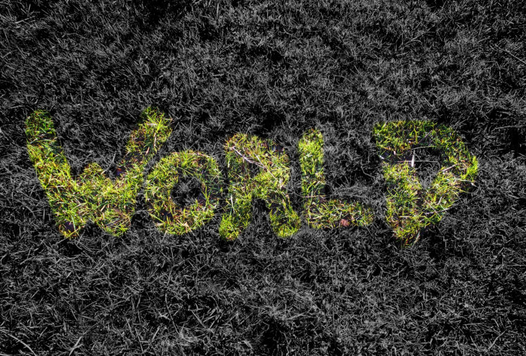 world, Grass HD Wallpaper Desktop Background