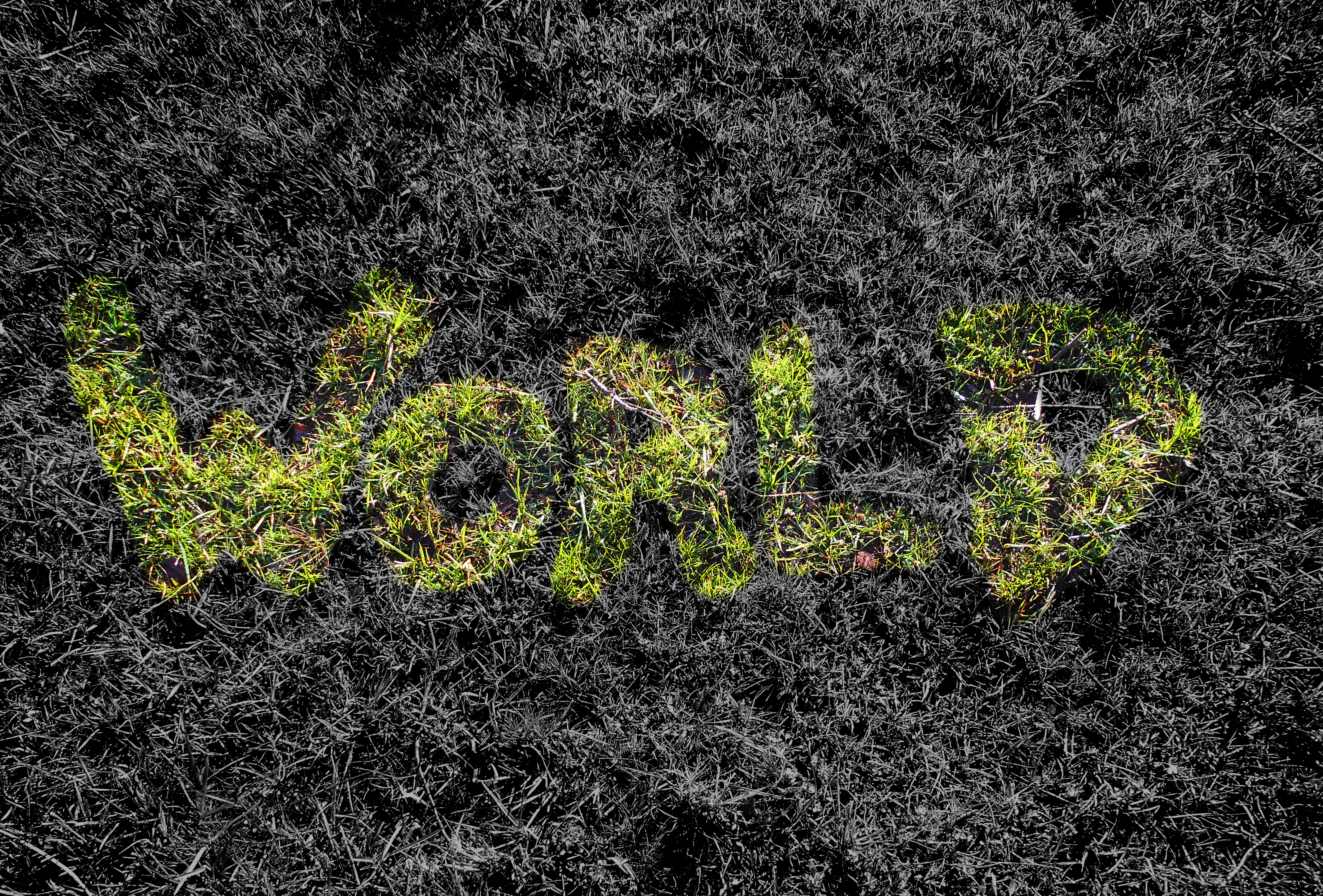 world, Grass Wallpaper