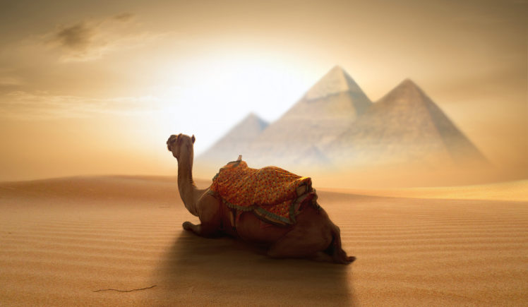 Nikos Bantouvakis, Egypt, Pyramid, Desert, Animals, 500px, Camels HD Wallpaper Desktop Background