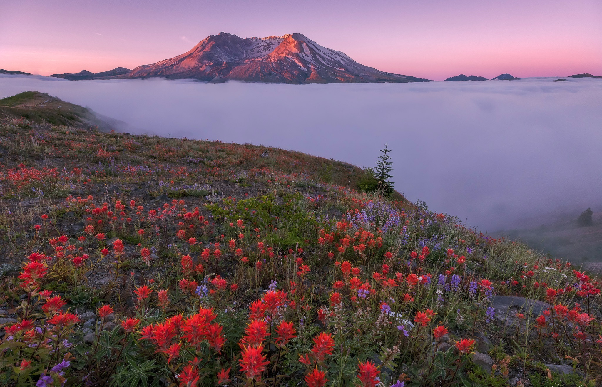 landscape, Red flowers, Vulcan Wallpaper