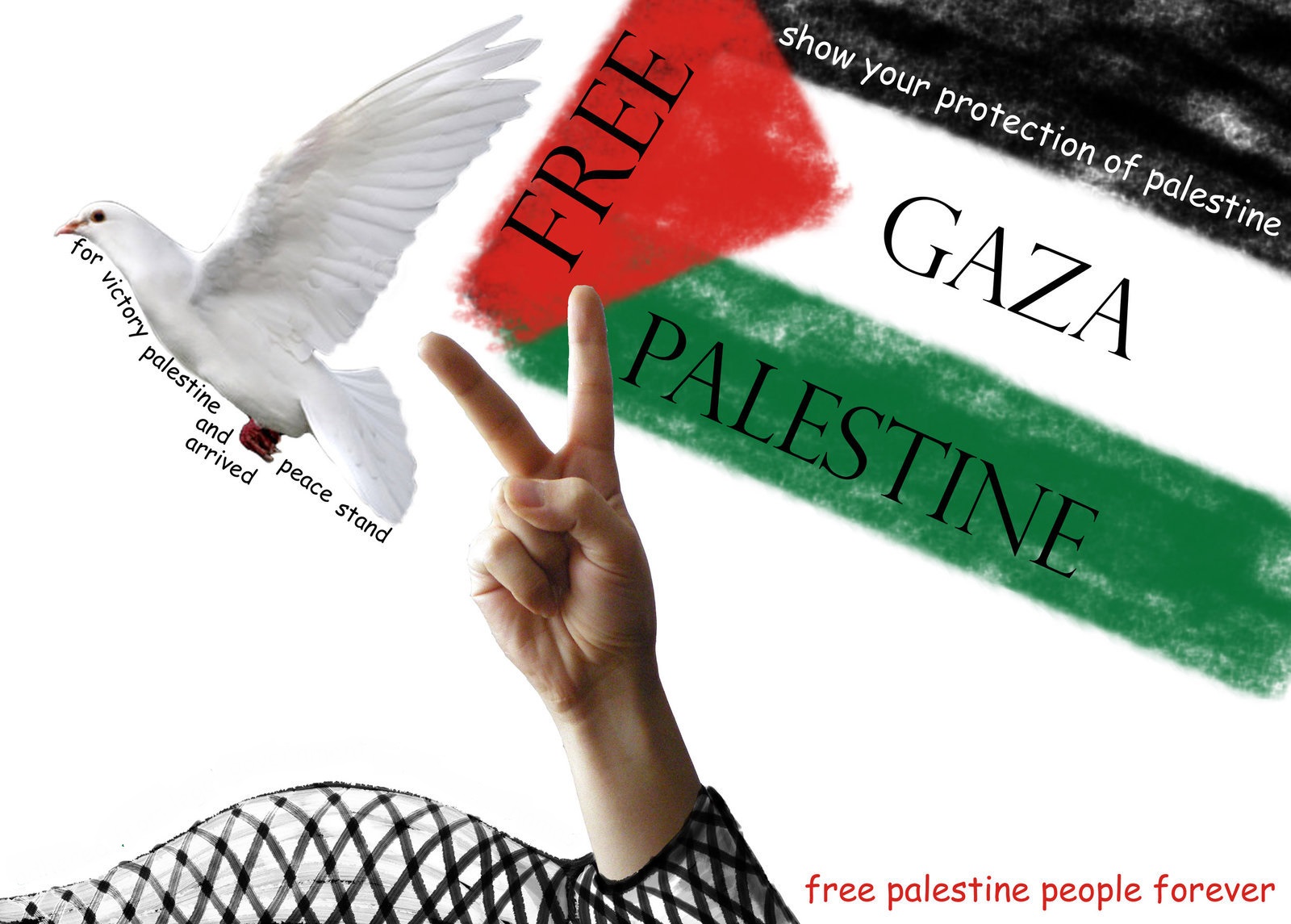 hands, Supporters, Palestine, Flag, Dove, Gaza, Propaganda Wallpaper