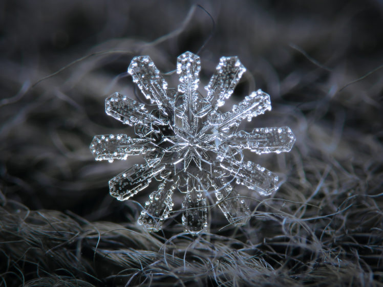 snow flakes, Detailed, Crystal, Microscopic HD Wallpaper Desktop Background