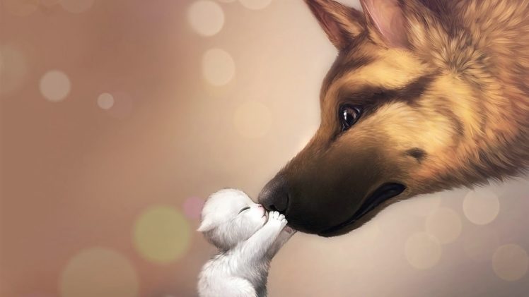 dog, Cat, Animals HD Wallpaper Desktop Background