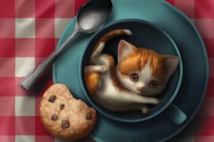Malwina Kwiatkowska, Cat, Cookies, Drawing, Illustration, Humor