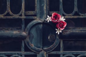 gates, Rose, Metal, Rust, Flowers, Red flowers