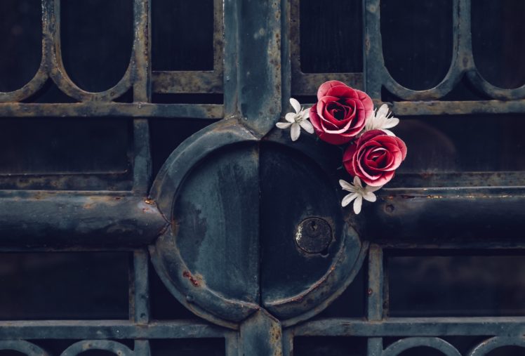 gates, Rose, Metal, Rust, Flowers, Red flowers HD Wallpaper Desktop Background