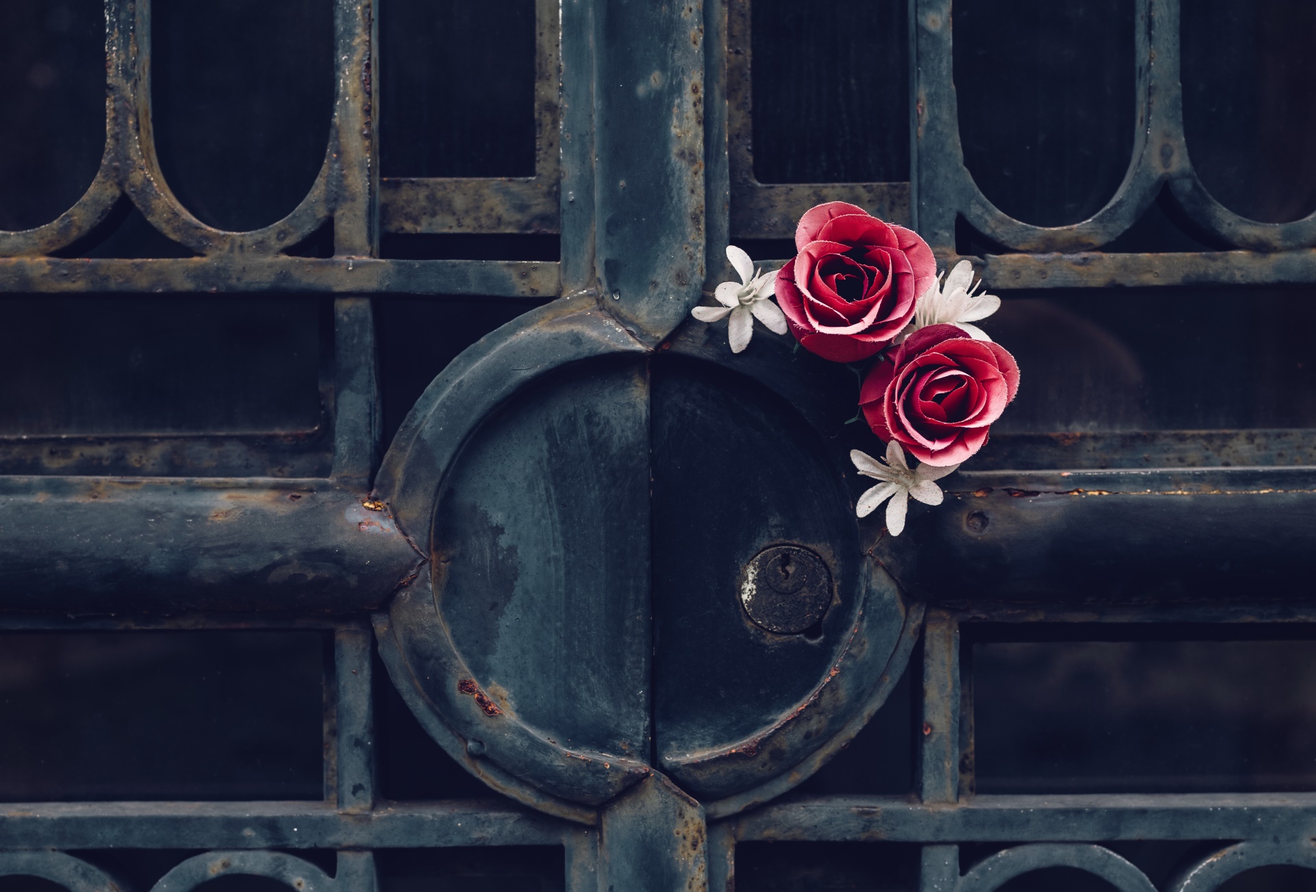 gates, Rose, Metal, Rust, Flowers, Red flowers Wallpaper