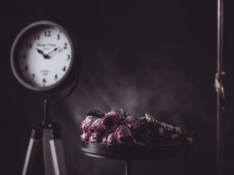 E I K K O N, Dead, Flowers, Time, 500px HD Wallpaper Desktop Background