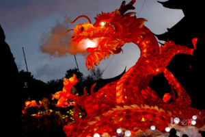Fire dragon, Photography, Chinese, Chinese dragon, Festivals, Dragon