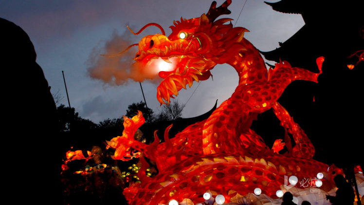 Fire dragon, Photography, Chinese, Chinese dragon, Festivals, Dragon HD Wallpaper Desktop Background