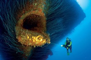 divers, Women, Nature, Sea, Water, Underwater, Shipwreck, Coral, Lights, Bikini Atoll, Blue, Marshall Islands, Torchlight, Goggles