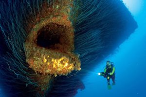 nature, Landscape, Sea, Great Blue Hole, Belize, Coral 