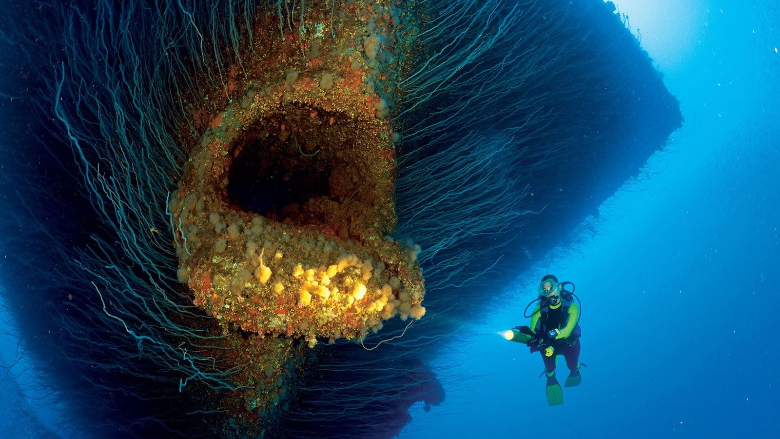 divers, Women, Nature, Sea, Water, Underwater, Shipwreck, Coral, Lights, Bi...