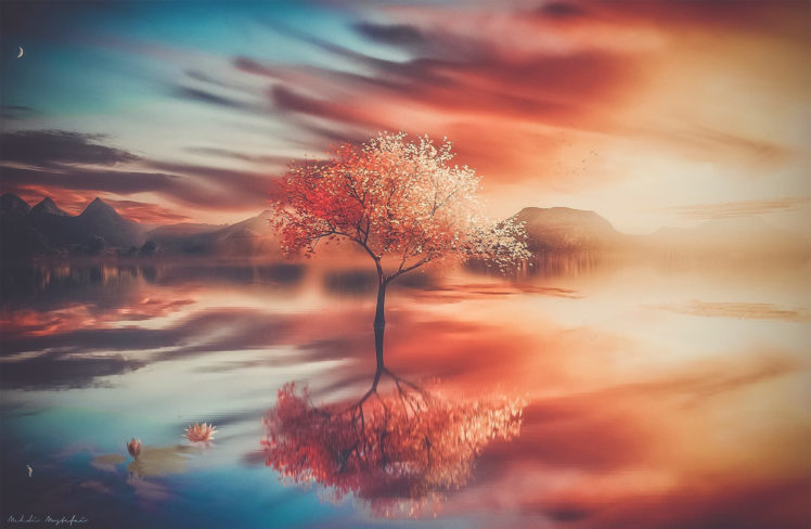 Mehdi Mostefaï, Digital art, 500px, Nature, Trees, Water, Reflection, Fantasy art, Sky HD Wallpaper Desktop Background