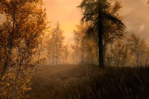 The Elder Scrolls V: Skyrim, Forest