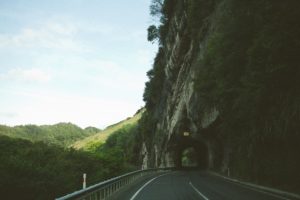 nature, Road, Trees, Tunnel